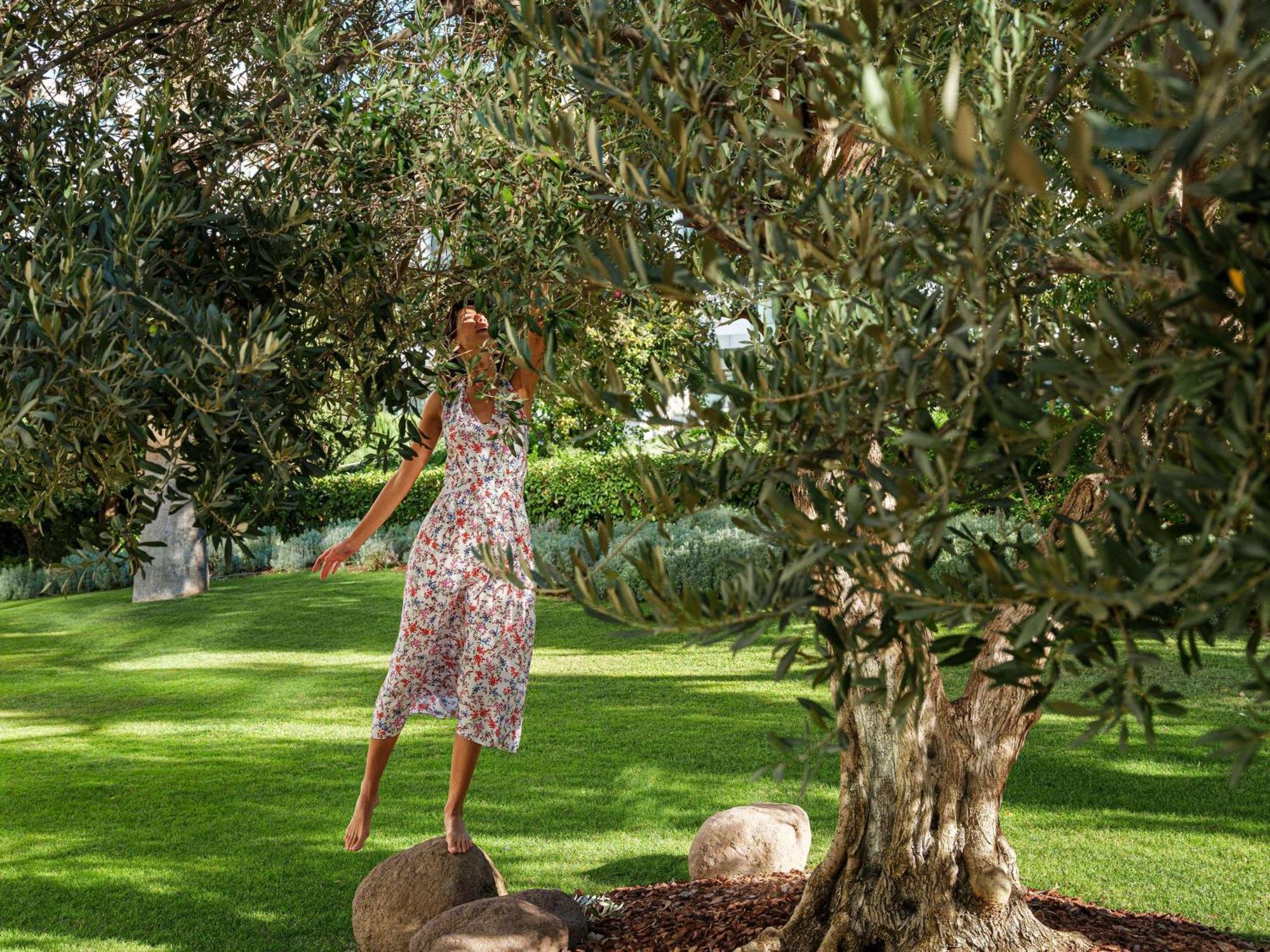 Swissotel Buyuk Efes Izmir Exterior photo Olive trees in the garden